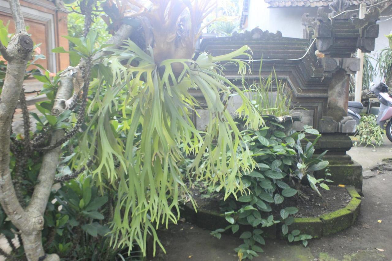 Umah De Arlika Ubud Eksteriør billede