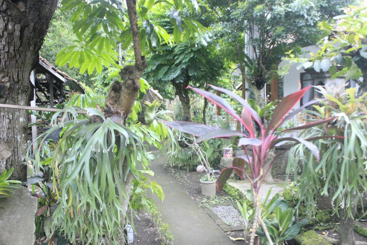 Umah De Arlika Ubud Eksteriør billede